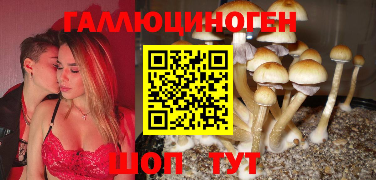 Псилоцибиновые грибы Cubensis Саяногорск